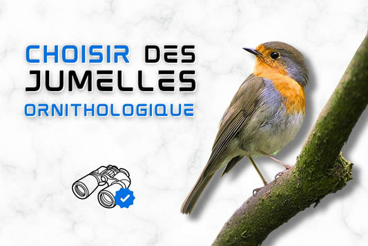 Choisir les meilleures jumelles pour l'observation d'oiseaux.