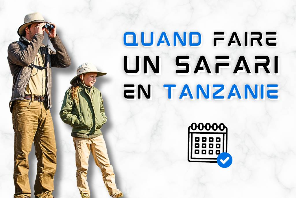 Quand faire un safari en Tanzanie ?