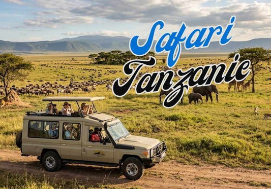Safari Tanzanie
